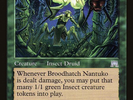 Broodhatch Nantuko [The List] Online Hot Sale